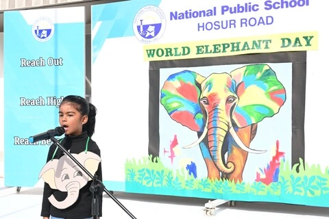 elephant