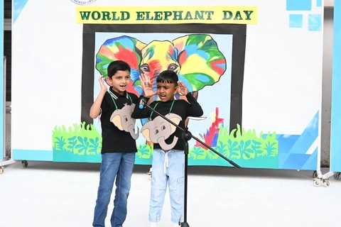 elephant