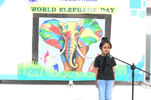 elephant